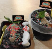 Peluang Usaha Es Krim Pot