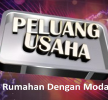 peluang usaha modal kecil