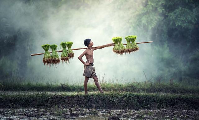 Peluang Usaha di Desa